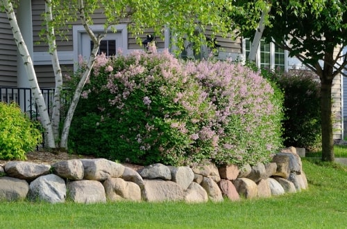 Landscaping Rocks in Westchester County, NY