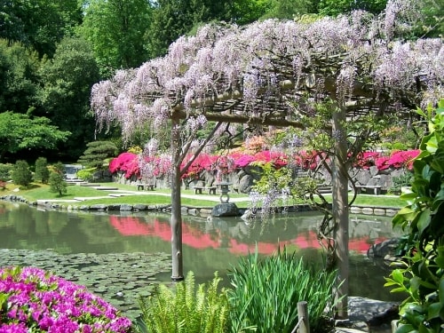 Creating a Japanese Garden in Westchester County, NY