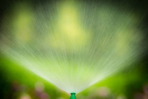 In-Ground Sprinkler Systems by Bellantoni Landscape