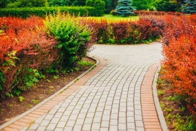 Preparing Your Landscape for Summer in Westchester County, NY