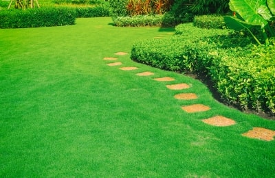 Green Landscaping in Westchester County, NY