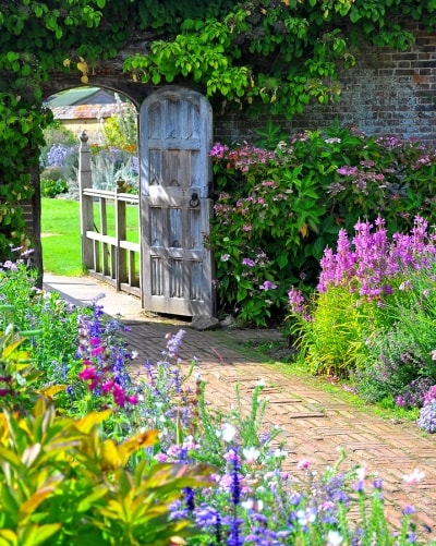 Traditional English Garden, What Flowers Are In A Typical English Garden