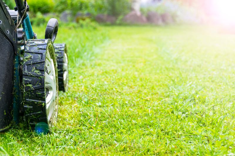 lawn-care-services-in-westchester-county-ny